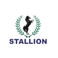 Stallion Group